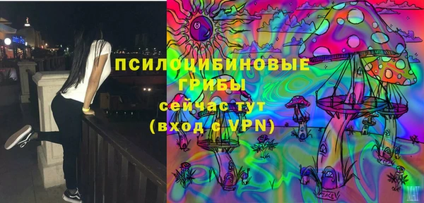 ALPHA PVP Алексин