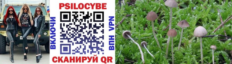ОМГ ОМГ ТОР  Луза  Псилоцибиновые грибы MAGIC MUSHROOMS 