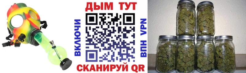 Канабис сатива Луза